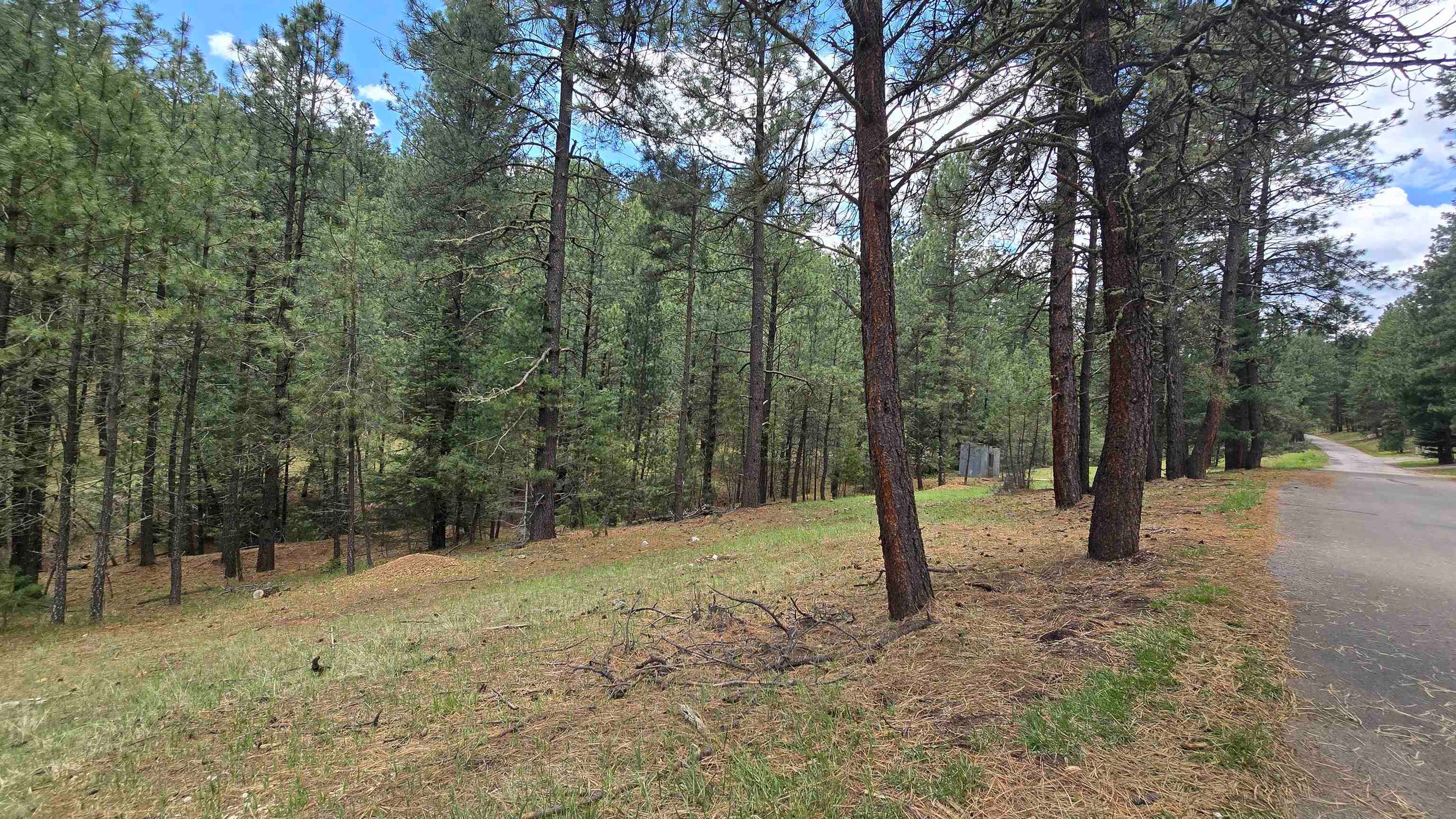 0 Cowan Road Mayhill, NM 88339 - Photo 1 of 1 Gallery Image 1