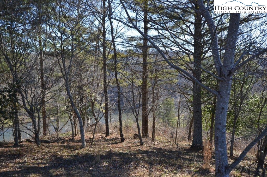 176 River Bend Hills Road Crumpler, NC 28617 - Photo 18 of 31 Gallery Image 18