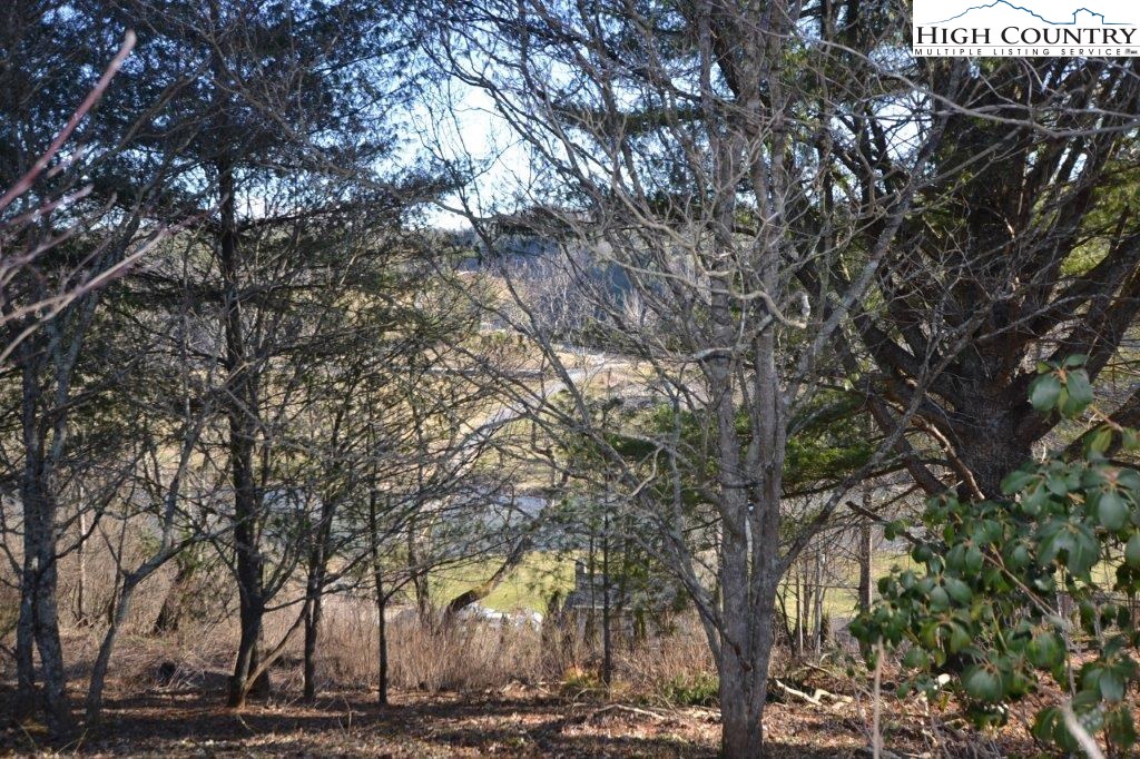 176 River Bend Hills Road Crumpler, NC 28617 - Photo 19 of 31 Gallery Image 19