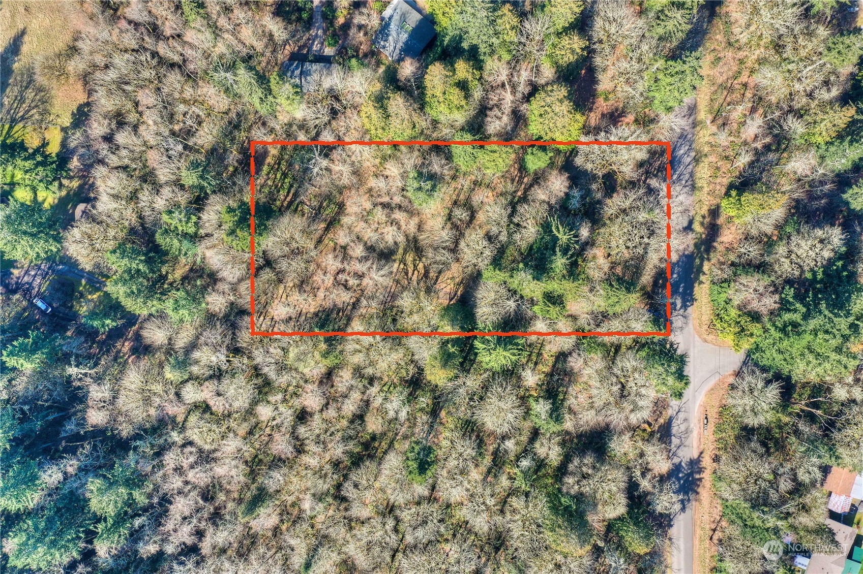 4841 Meridian Road Northeast Olympia, WA 98516 - Photo 3 of 9 a backyard of a house with lots of trees