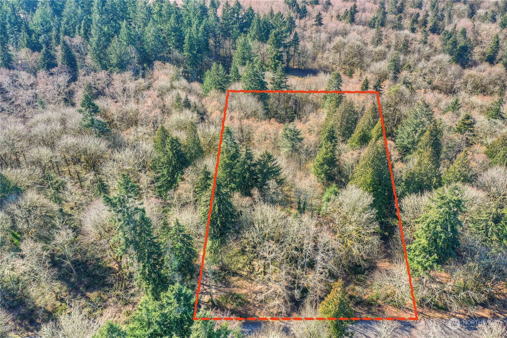 4841 Meridian Road Northeast Olympia, WA 98516 - Photo 4 of 9 a view of a houses with a yard