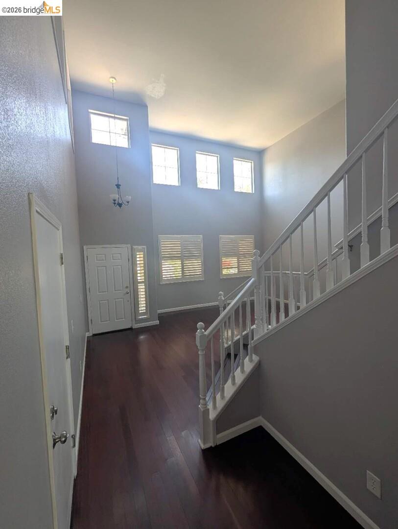4958 Bay View Circle Stockton, CA 95219 - Photo 16 of 24 foyer featuring dark wood finished floors, a high ceiling, and healthy amount of natural light