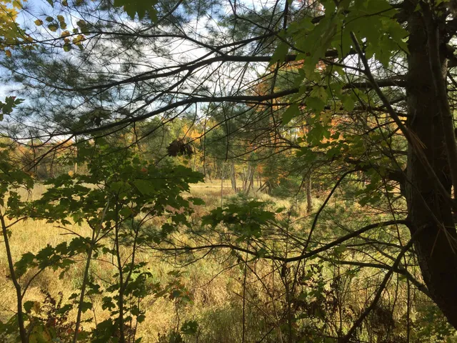 $64,800 | 63 Barronett Wi 54871, Shell Lake, WI 54871