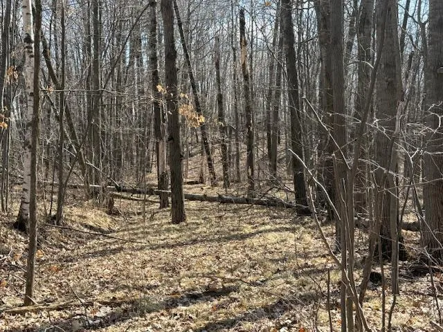 $64,800 | 63 Barronett Wi 54871, Shell Lake, WI 54871