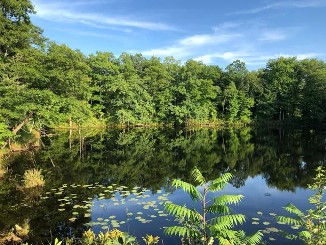 $64,800 | 63 Barronett Wi 54871, Shell Lake, WI 54871