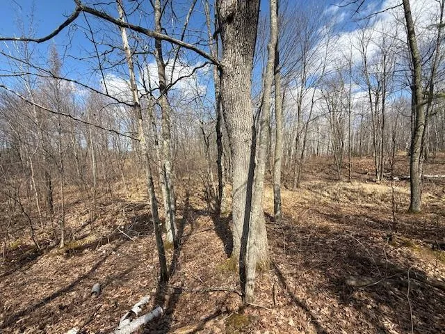 $64,800 | 63 Barronett Wi 54871, Shell Lake, WI 54871