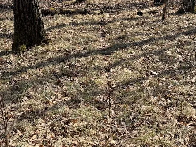 $64,800 | 63 Barronett Wi 54871, Shell Lake, WI 54871