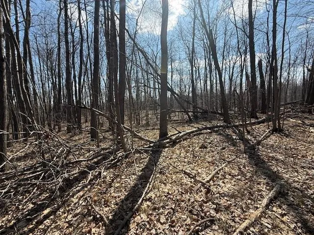 $64,800 | 63 Barronett Wi 54871, Shell Lake, WI 54871