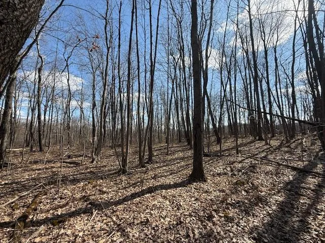 $64,800 | 63 Barronett Wi 54871, Shell Lake, WI 54871