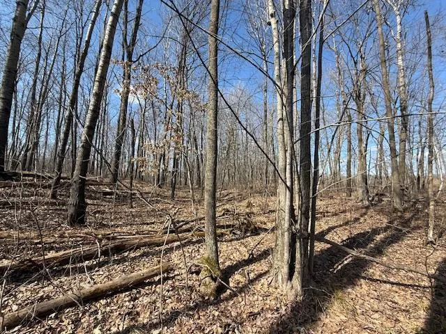 $64,800 | 63 Barronett Wi 54871, Shell Lake, WI 54871