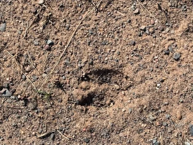 $64,800 | 63 Barronett Wi 54871, Shell Lake, WI 54871