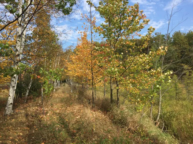 $64,800 | 63 Barronett Wi 54871, Shell Lake, WI 54871