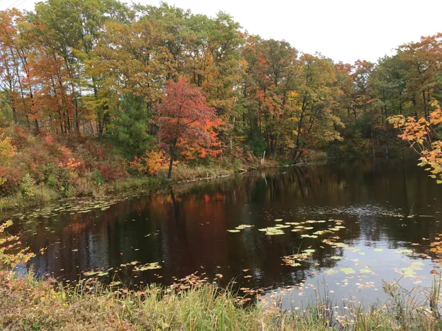 $64,800 | 63 Barronett Wi 54871, Shell Lake, WI 54871