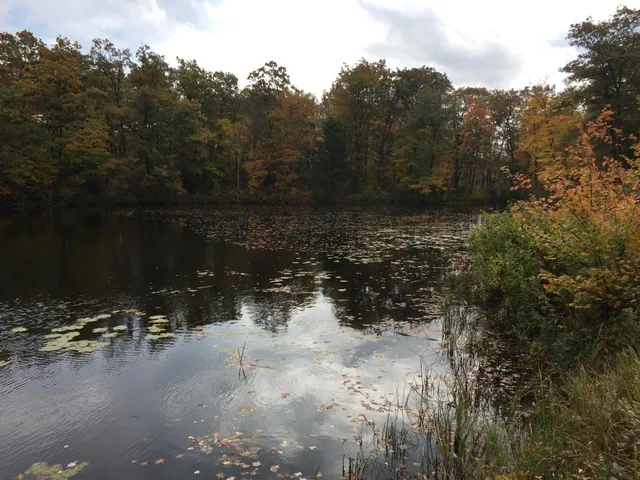 $64,800 | 63 Barronett Wi 54871, Shell Lake, WI 54871