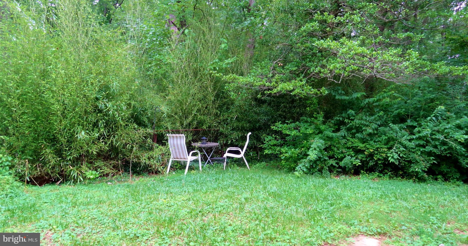 38 Ridge Road, Unit G Greenbelt, MD 20770 - Photo 3 of 9 Front Yard