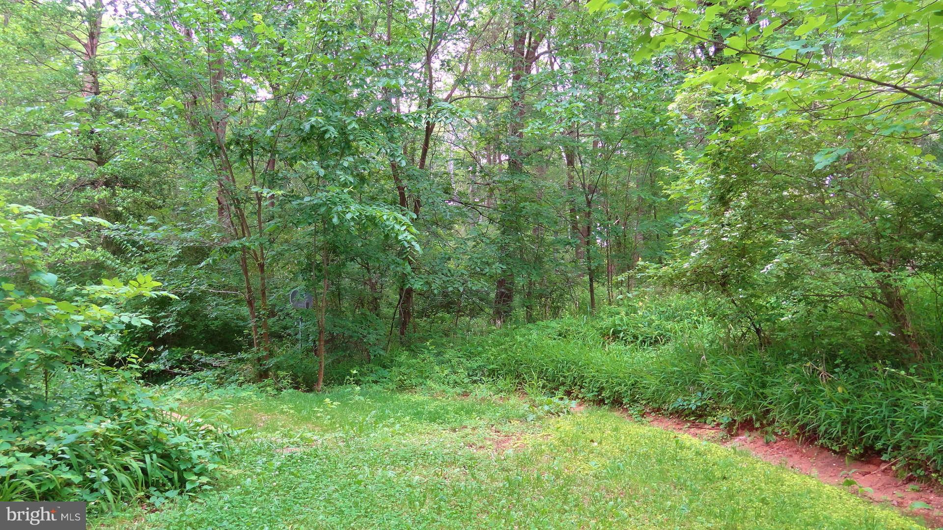 38 Ridge Road, Unit G Greenbelt, MD 20770 - Photo 5 of 9 Side Yard