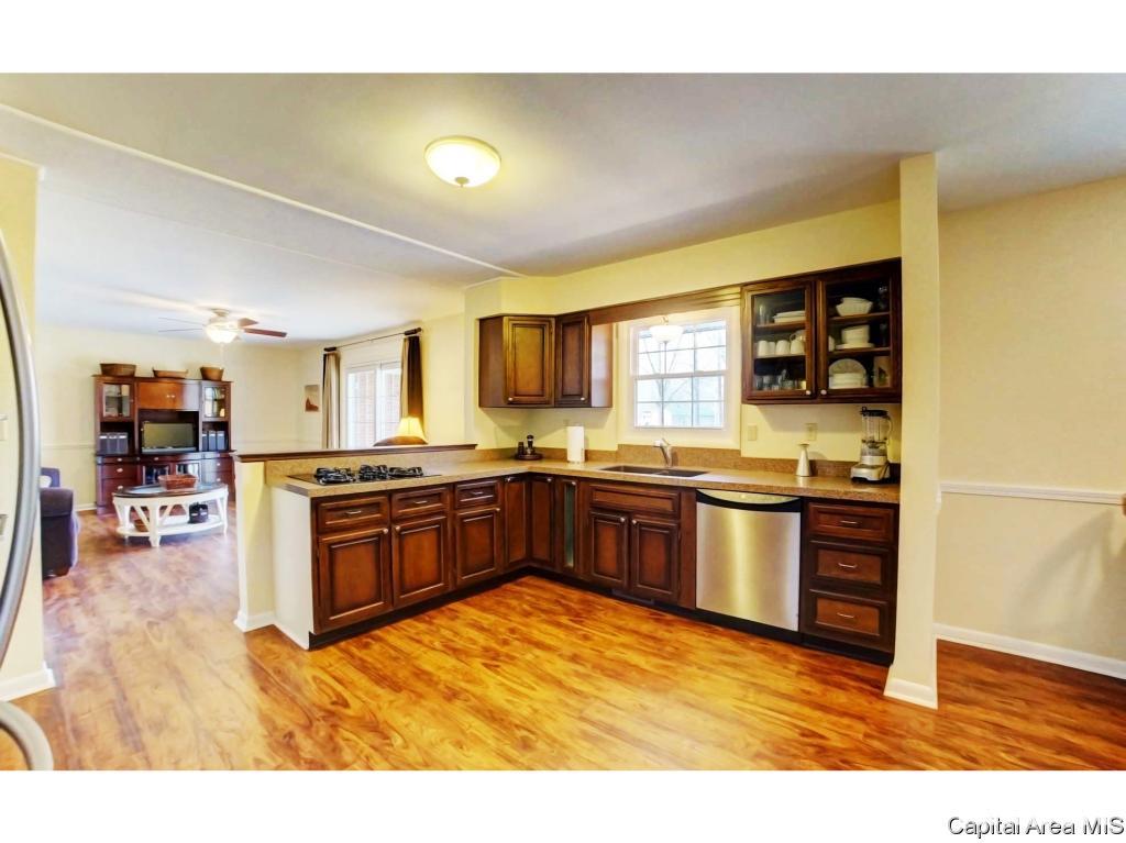 17 Mishawaka Drive Rochester, IL 62563 - Photo 5 of 19