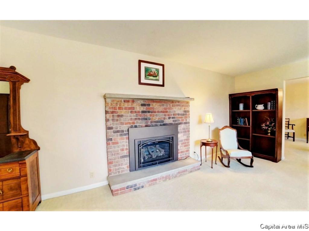 17 Mishawaka Drive Rochester, IL 62563 - Photo 8 of 19