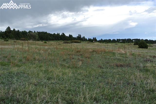 13925 Double Tree Ranch Circle Elbert, CO 80106 - Photo 14 of 33