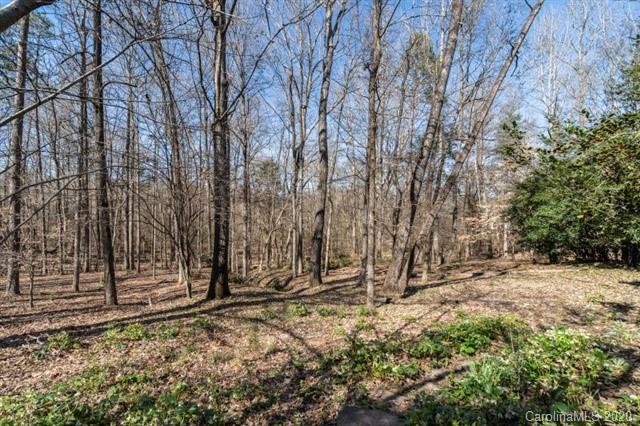 8355 Providence Road Charlotte, NC 28270 - Photo 28 of 36 a view of a tree in the middle of a yard