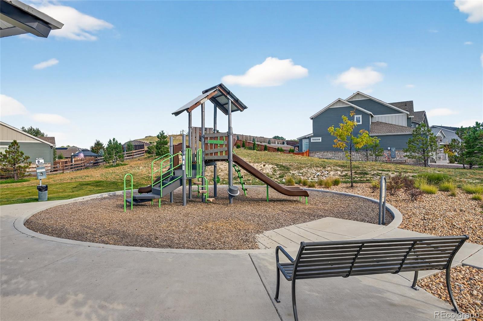 970 Horsetail Loop Elizabeth, CO 80107 - Photo 46 of 47