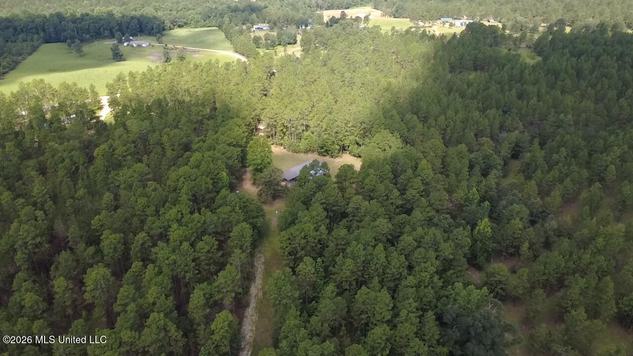 202 Smith Road Lumberton, MS 39455 - Photo 28 of 32 KMEB8740