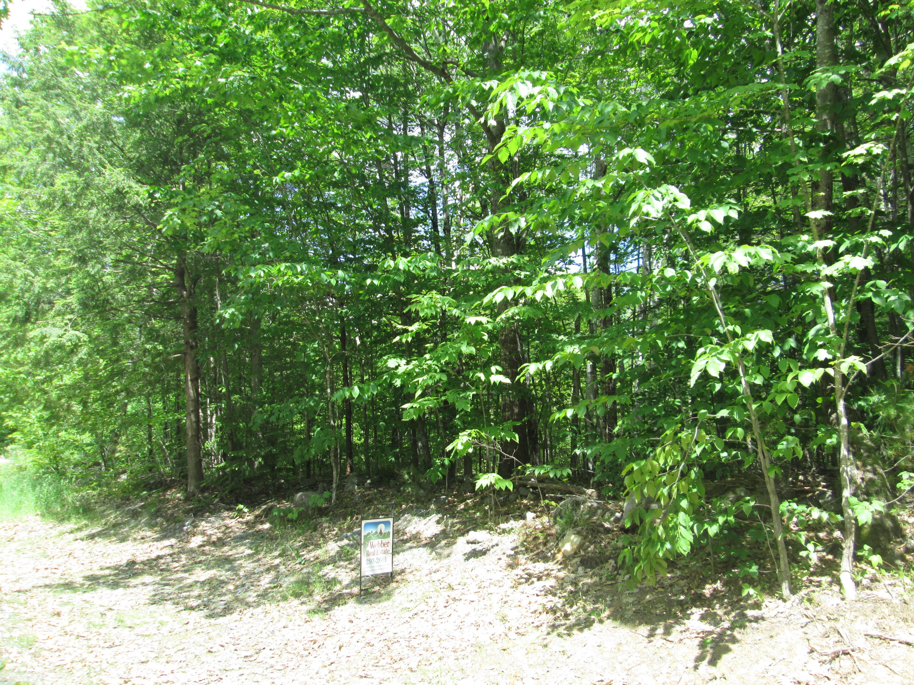0 Ithiel Gordon Road Mount Vernon, ME 04352 - Photo 2 of 2 IMG_2556