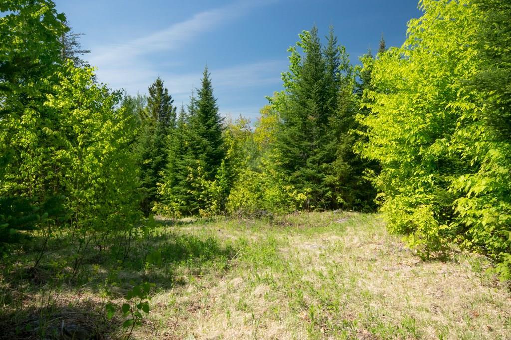 7 Spruce Mountain Road Avon, ME 04966 - Photo 6 of 10 Land