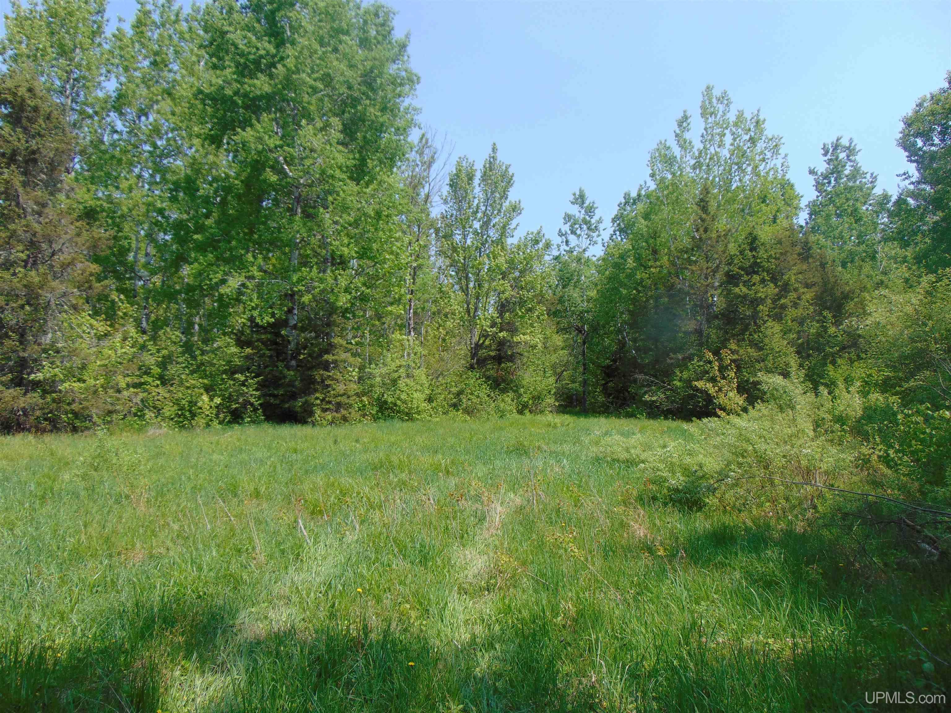1 Larson Road Bruce Crossing, MI 49912 - Photo 22 of 34