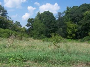 1985 Liberty Hill Road Chuckey, TN 37641 - Photo 2 of 3 Photo 2
