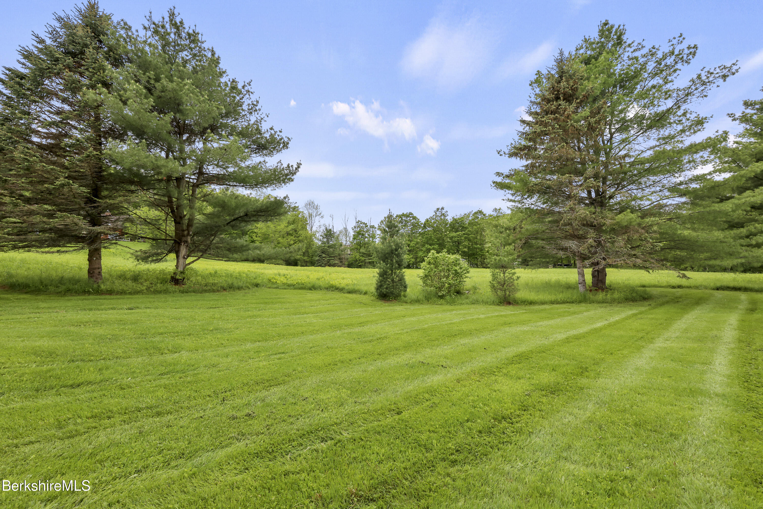 94 Corey Road, Unit D Hancock, MA 01237 - Photo 28 of 45 a view of field with tall trees