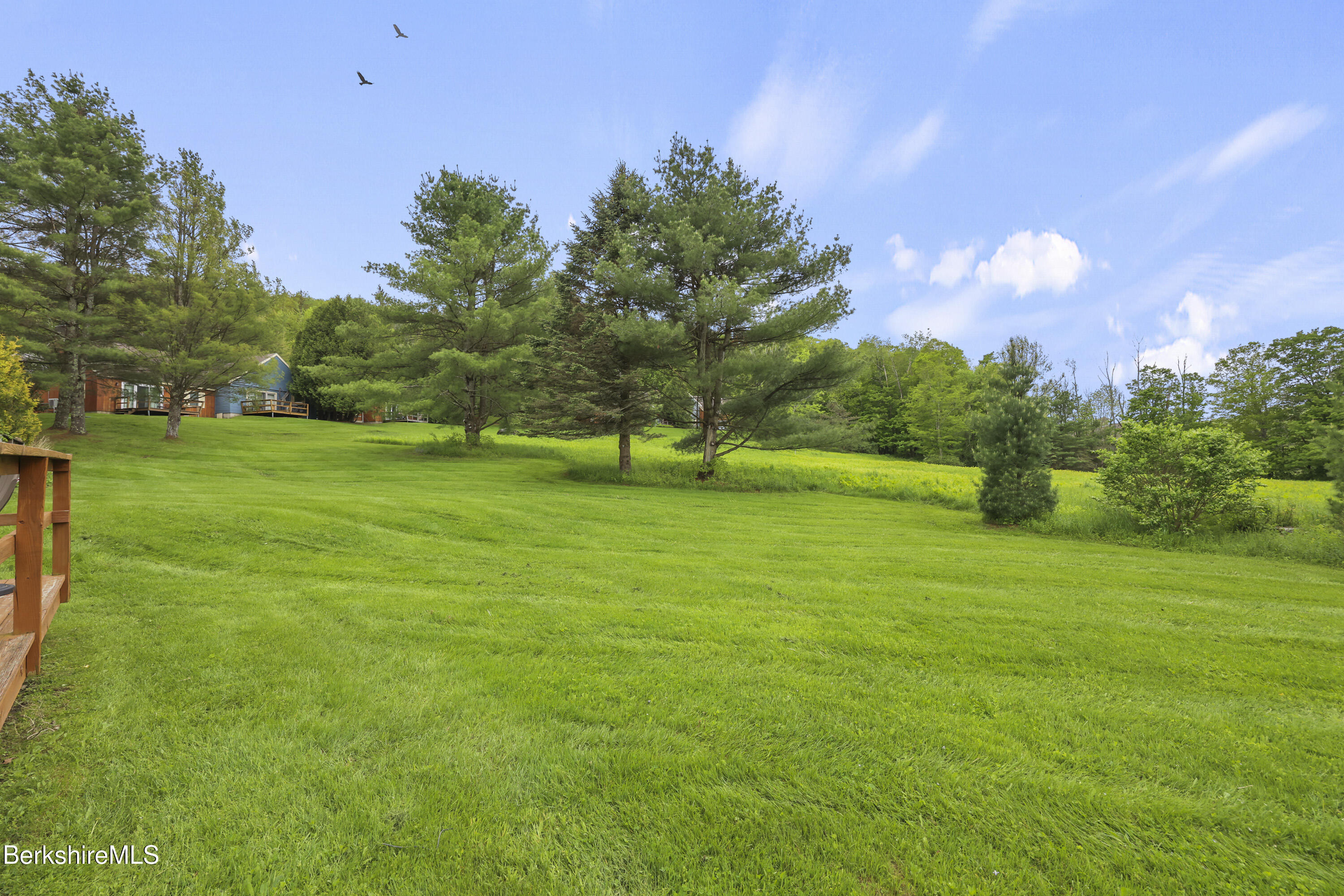 94 Corey Road, Unit D Hancock, MA 01237 - Photo 29 of 45 a park with lots of trees in the background