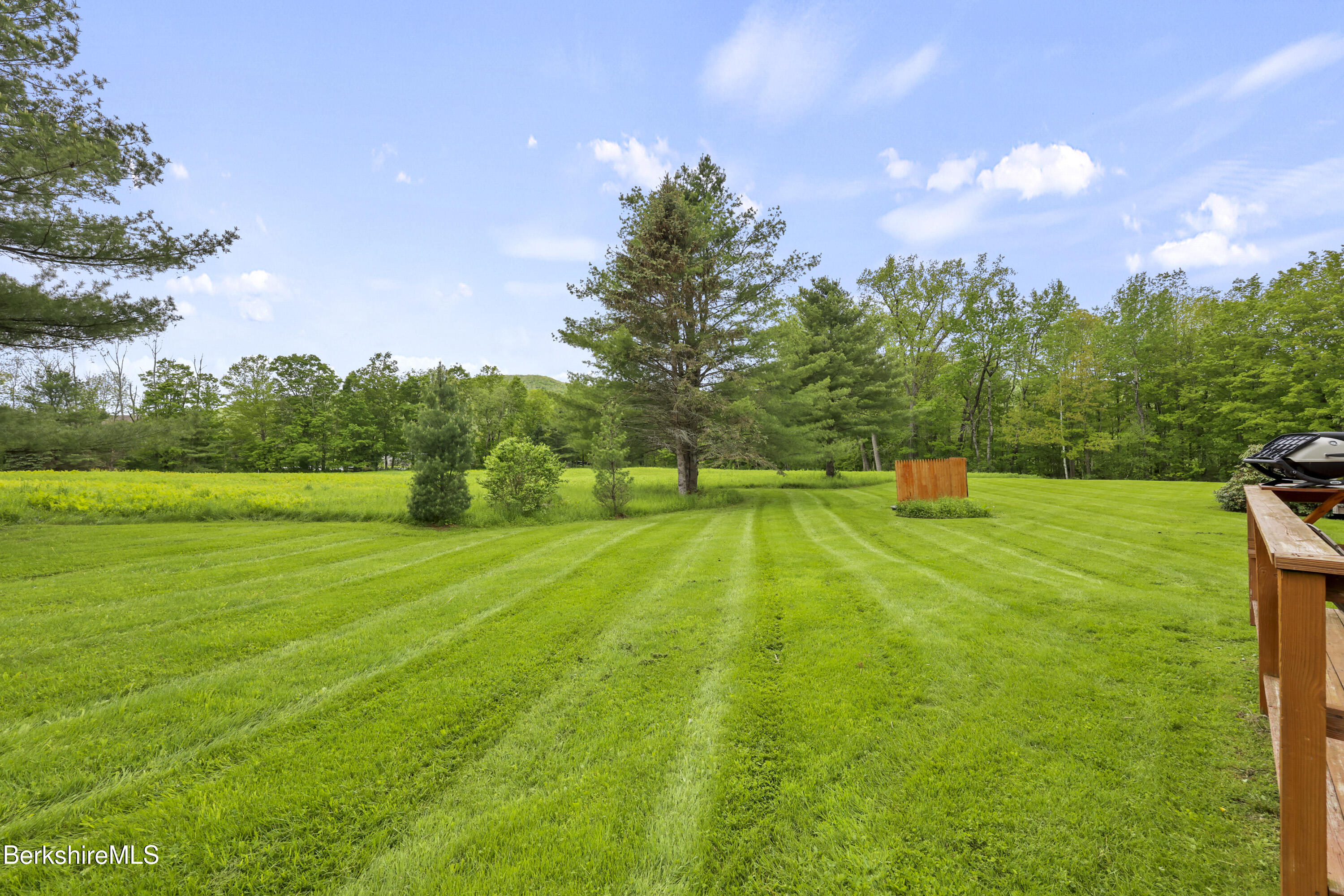94 Corey Road, Unit D Hancock, MA 01237 - Photo 30 of 45 a view of yard with grass & palm trees