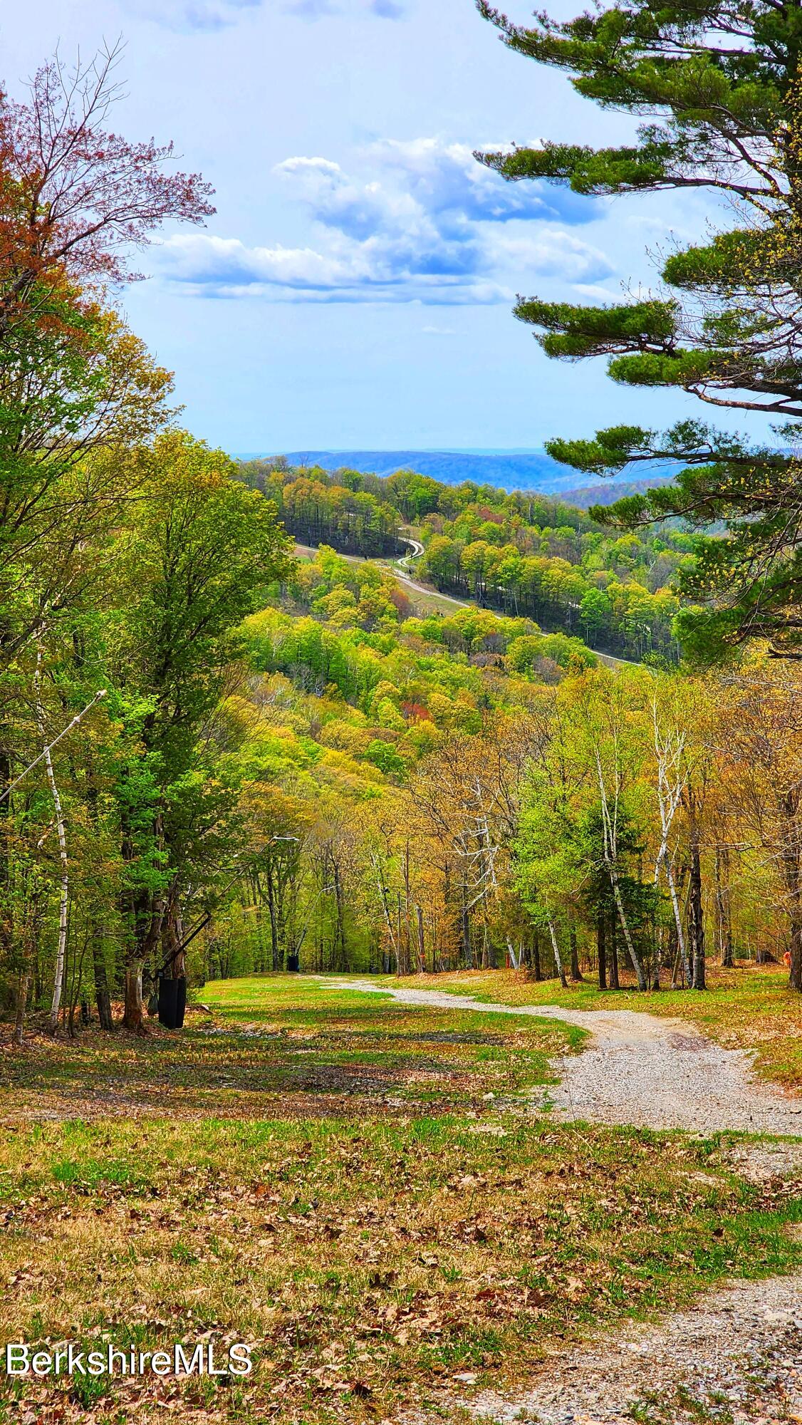 94 Corey Road, Unit D Hancock, MA 01237 - Photo 42 of 45 a view of a lake with a big yard