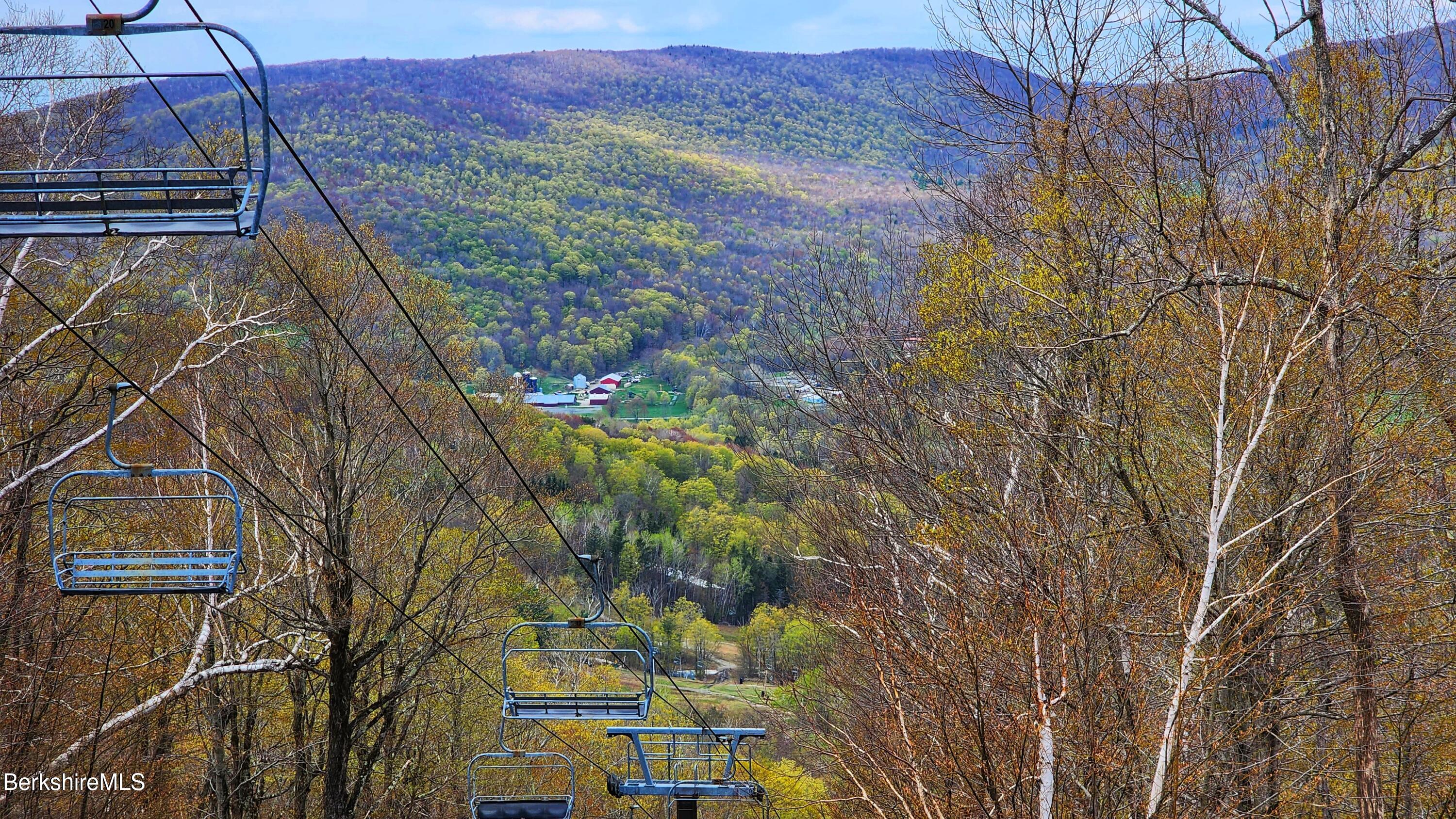 94 Corey Road, Unit D Hancock, MA 01237 - Photo 43 of 45 a view of a backyard
