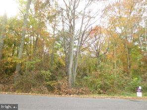 319 Burrs Mill Road Southampton, NJ 08088 - Photo 3 of 3