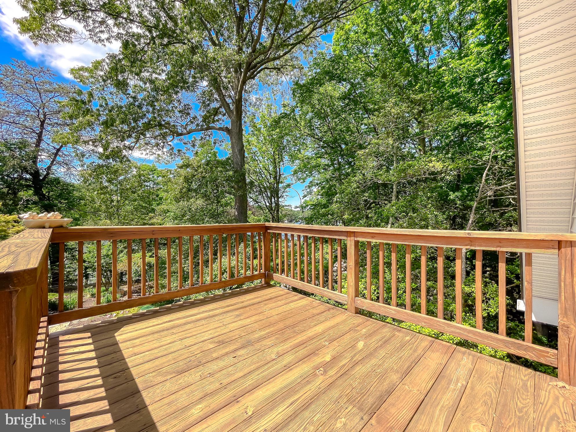 13231 Woodbank Road Lusby, MD 20657 - Photo 112 of 116