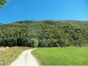 Lot 23 Sherburne Valley Road Killington, VT 05751 - Photo 2 of 10 Gallery Image 2