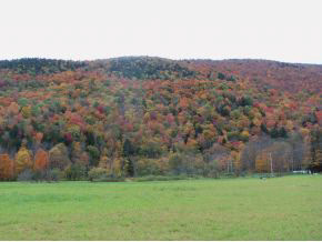 Lot 23 Sherburne Valley Road Killington, VT 05751 - Photo 4 of 10 Gallery Image 4