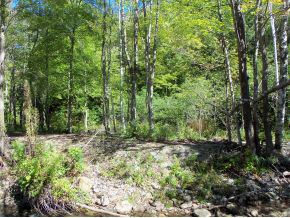 Lot 23 Sherburne Valley Road Killington, VT 05751 - Photo 6 of 10 Gallery Image 6