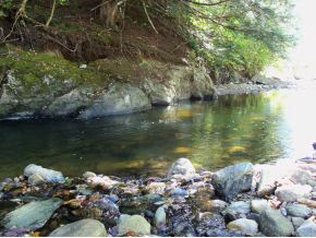 Lot 23 Sherburne Valley Road Killington, VT 05751 - Photo 7 of 10 Gallery Image 7