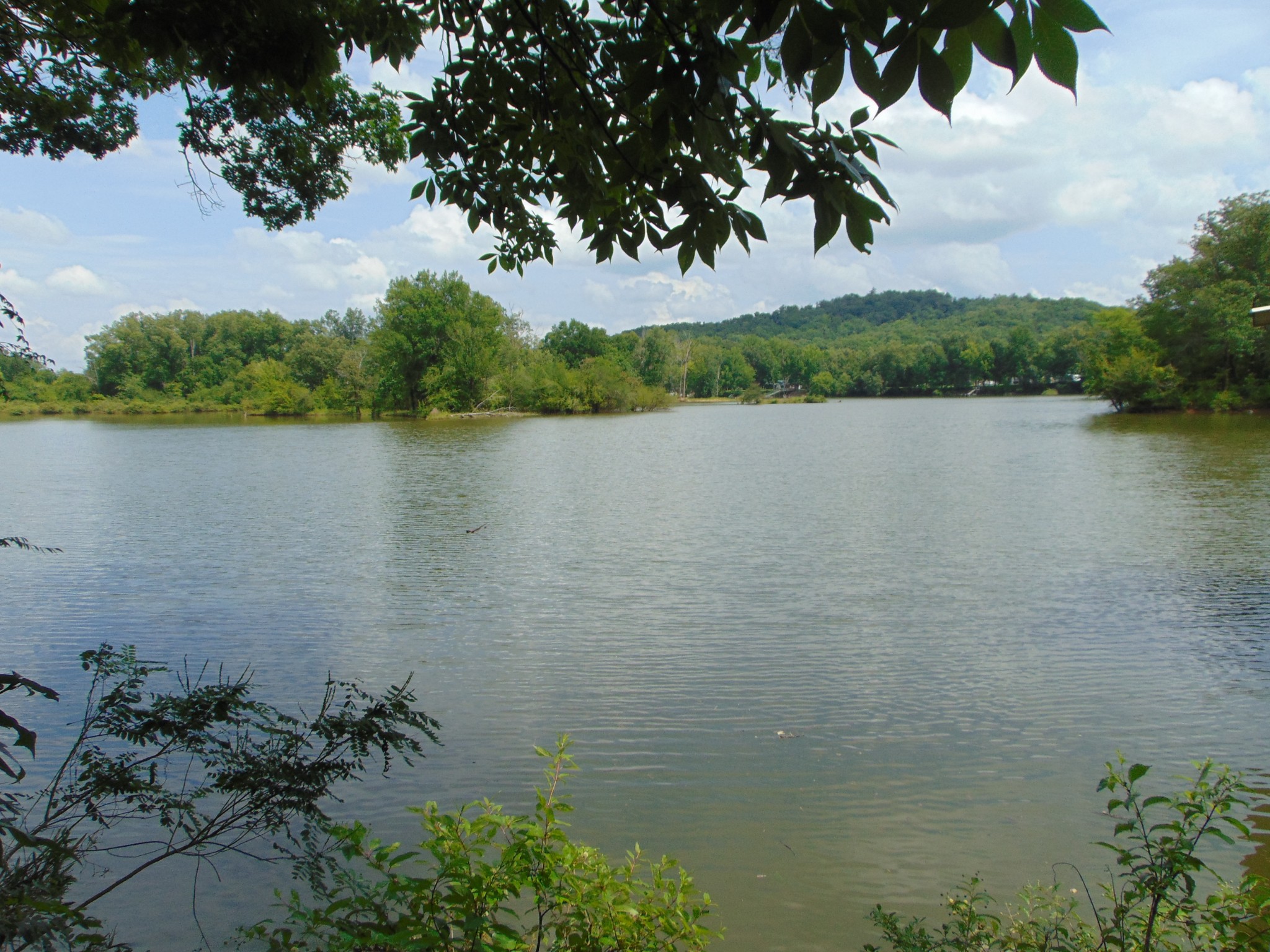 1 Beech Creek Road Clifton, TN 38425 - Photo 16 of 19
