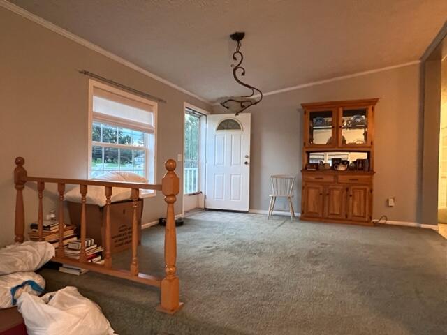 5 Renadette Road Plattsburgh, NY 12901 - Photo 19 of 21 Gallery Image 19