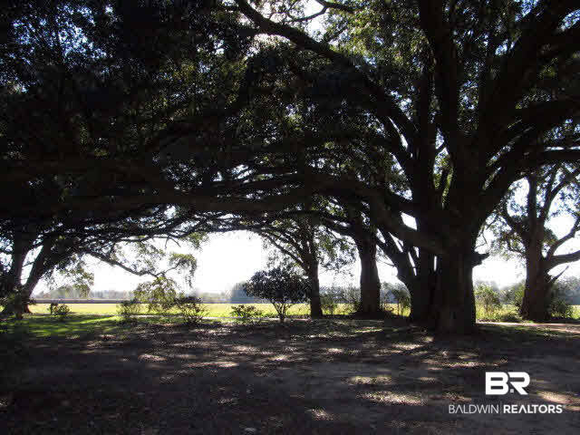 15405 Mannich Lane Foley, AL 36535 - Photo 8 of 18
