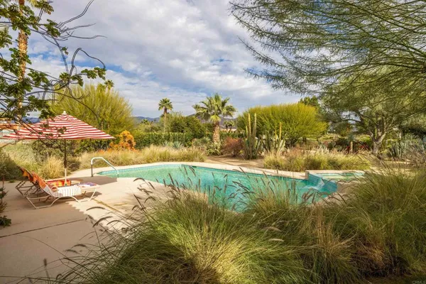 a view of a swimming pool with a yard and plants