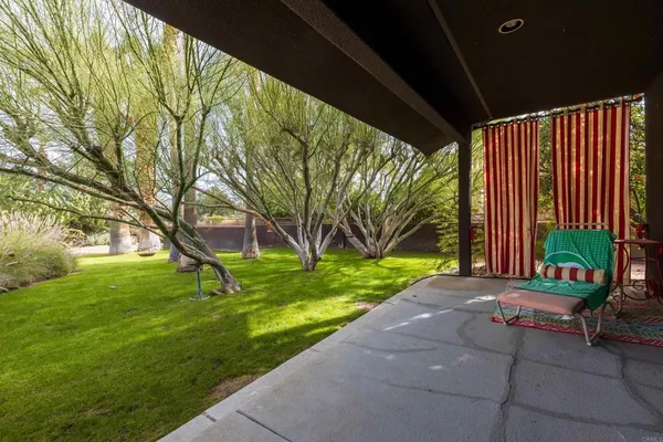 a view of a yard with plants and trees