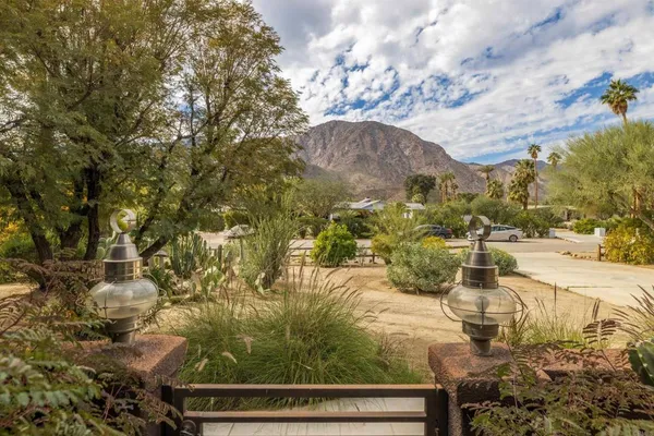a view of a yard with plants and tree