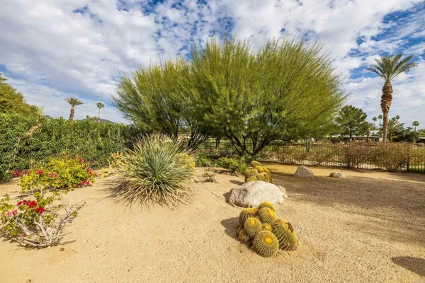 a view of a bench in a backyard