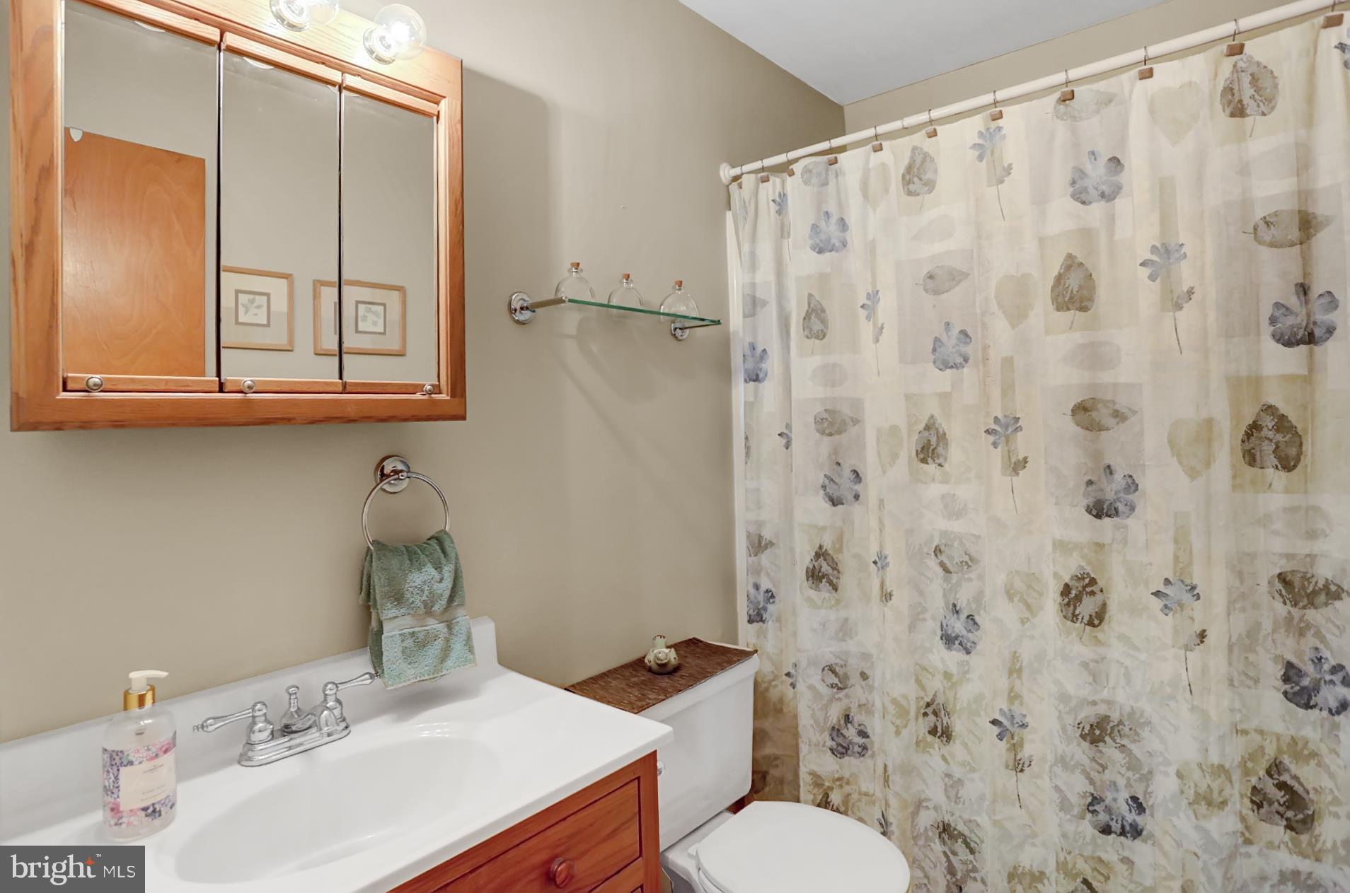 253 South View Road Fleetwood, PA 19522 - Photo 30 of 35 First floor full bath.