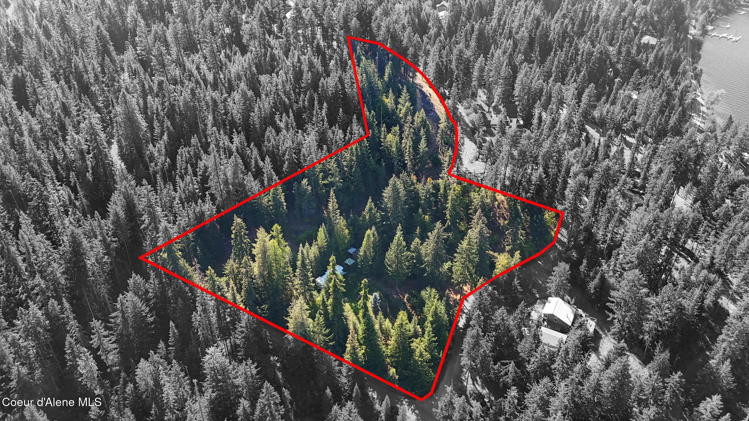 783 East Cliff View Drive Harrison, ID 83833 - Photo 38 of 72 52_dji_20250923134756_0124_d_vs2